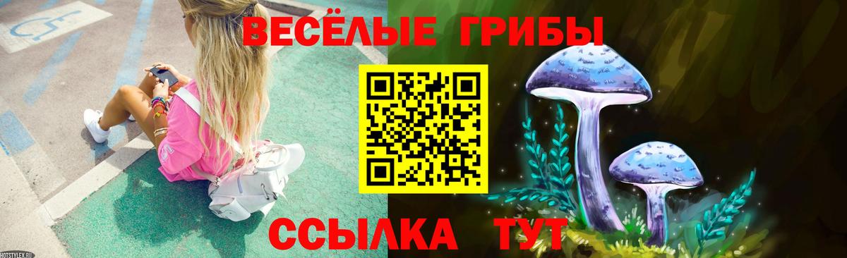 Стрежевой  Галлюциногенные грибы прущие грибы  Вход с VPN  Галлюциногенные грибы Cubensis 